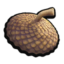 Acorn Top